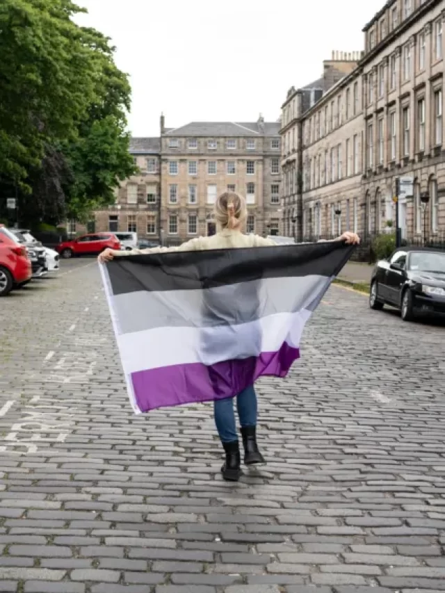 Exploring the Asexual Flag and Its Colors