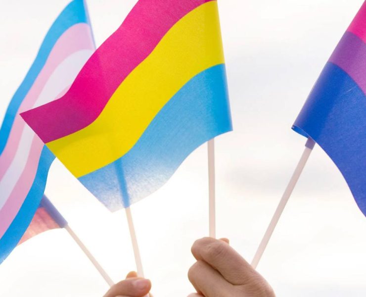 The Pansexual Flag