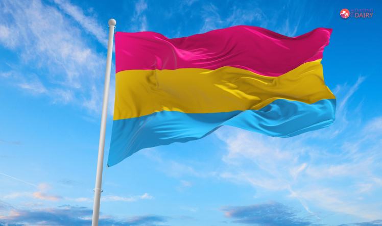 What Are The Colors Of The Pansexual Flag What Does It Mean 