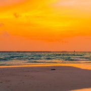 Monogamous Relationship