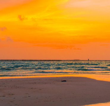 Monogamous Relationship